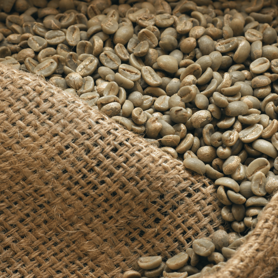 Grønne kaffebønner af høj kvalitet klar til ristning – fundamentet for en frisk og aromatisk kaffeoplevelse, ristet med omhu i vores eget kafferisteri.