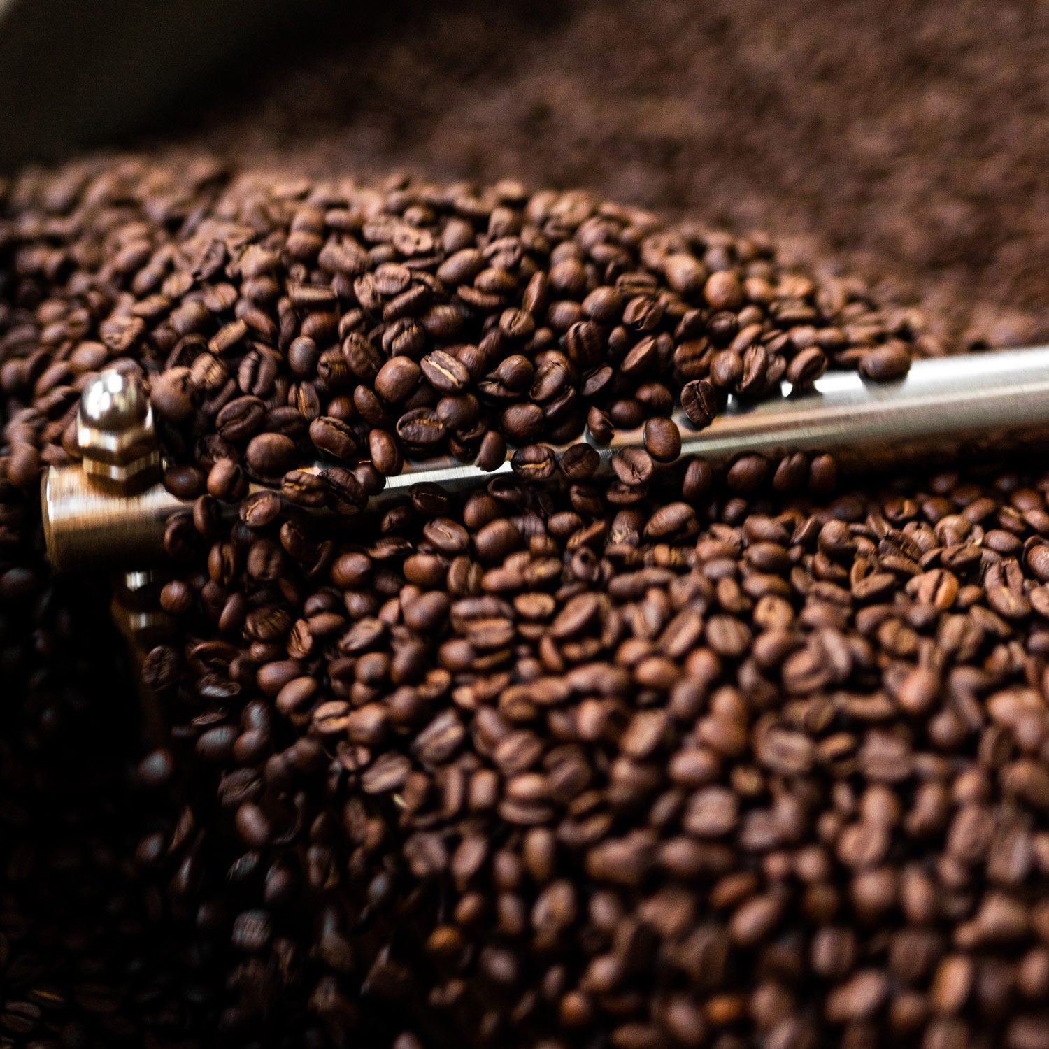 Smag forskellige kaffesorter med vores smagspakker. Altid friskristet og leveret indenfor 24 timer efter ristning