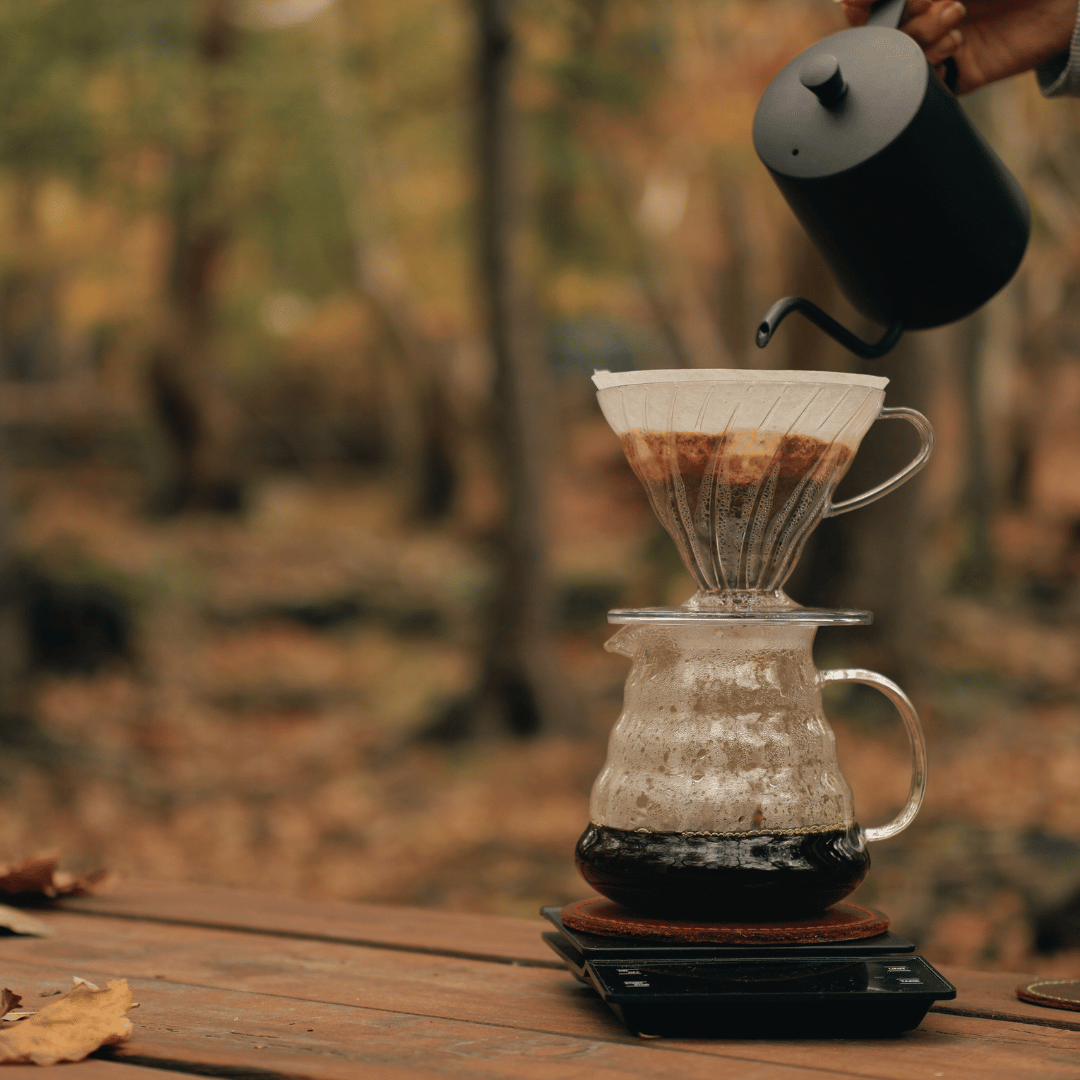 Optimer din kaffebrygning med professionelt bryggeudstyr til filterkaffe, espresso og pour-over. Udforsk AeroPress, Chemex, Hario V60 og kaffevægte for den perfekte kop.
