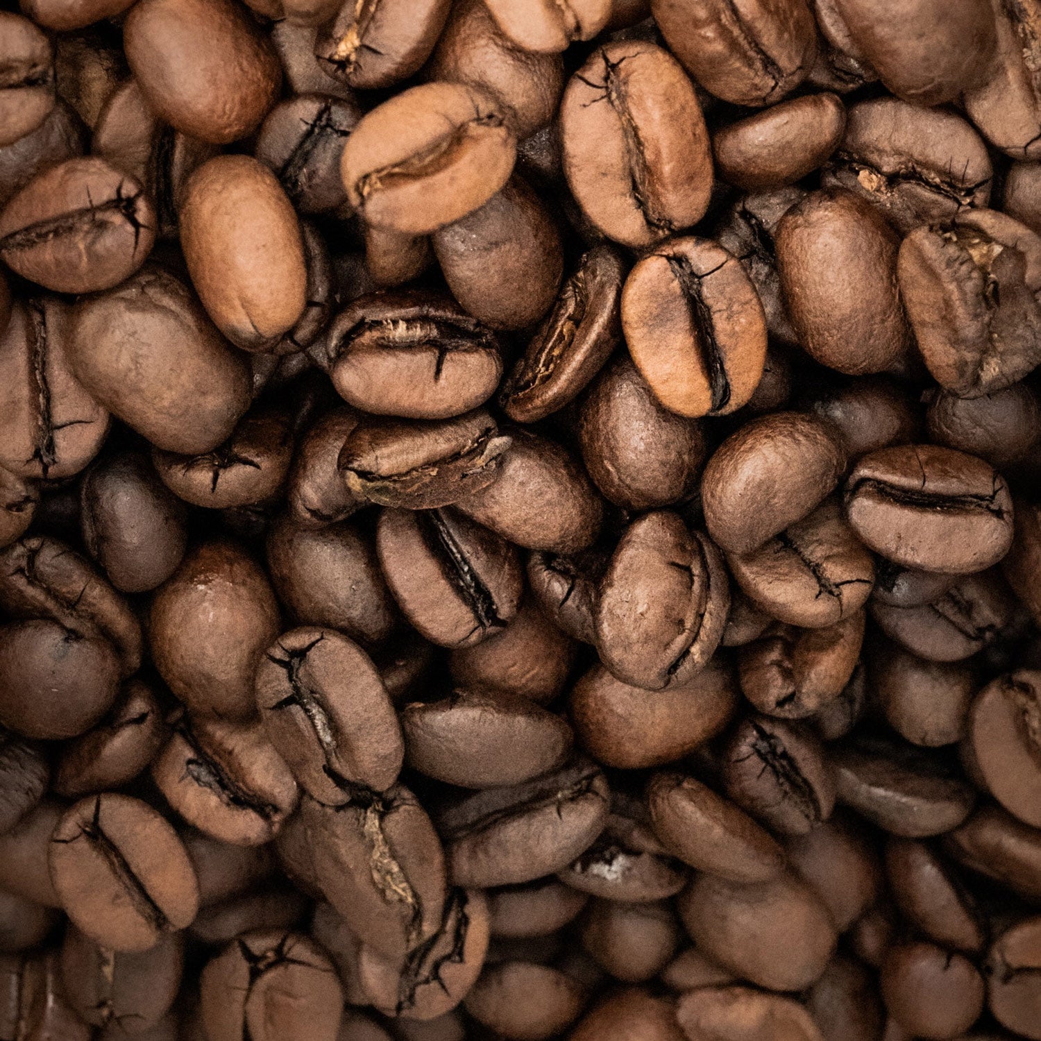 En trio af kaffebønner i forskellige ristningsgrader – lysristet, mellemristet og mørkristet kaffe.
