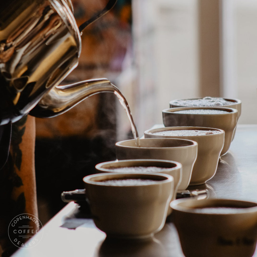 Cupping er en disciplin som med vinsmagning og en måde at finde kaffe med smag.