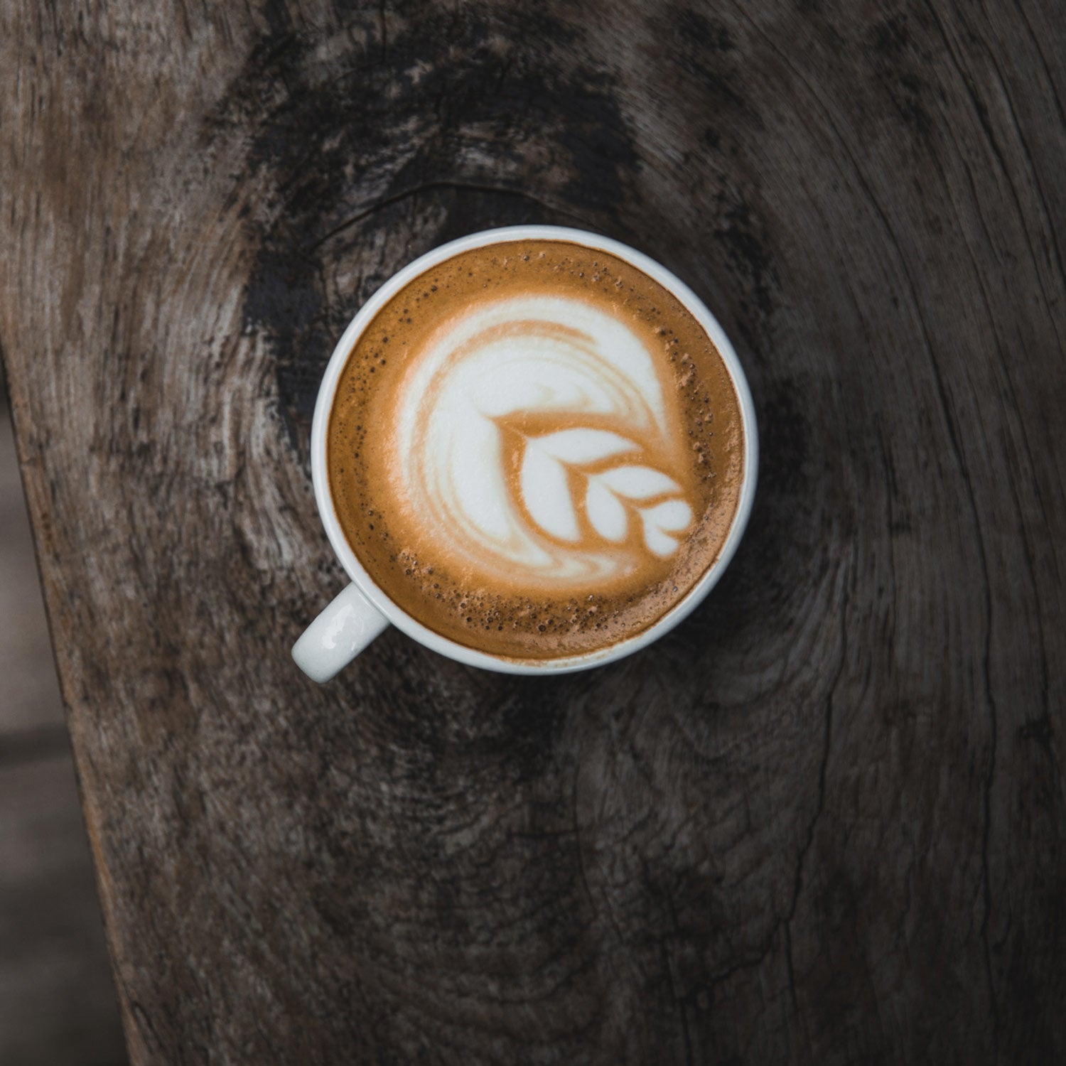 Få de bedste råd om kaffe fra kaffe eksperten hos Copenhagen Coffee Dealers og få en god kaffeoplevelse