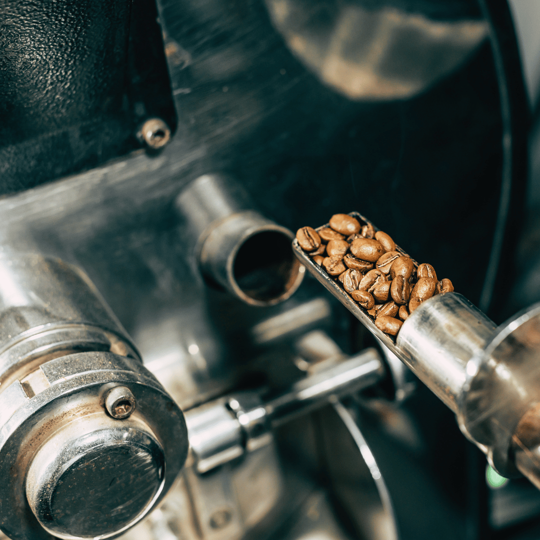   Specialkaffe er kendt for sin unikke smagsprofil, bæredygtige produktion og ekspertise inden for ristning, som skaber en udsøgt kaffeoplevelse.