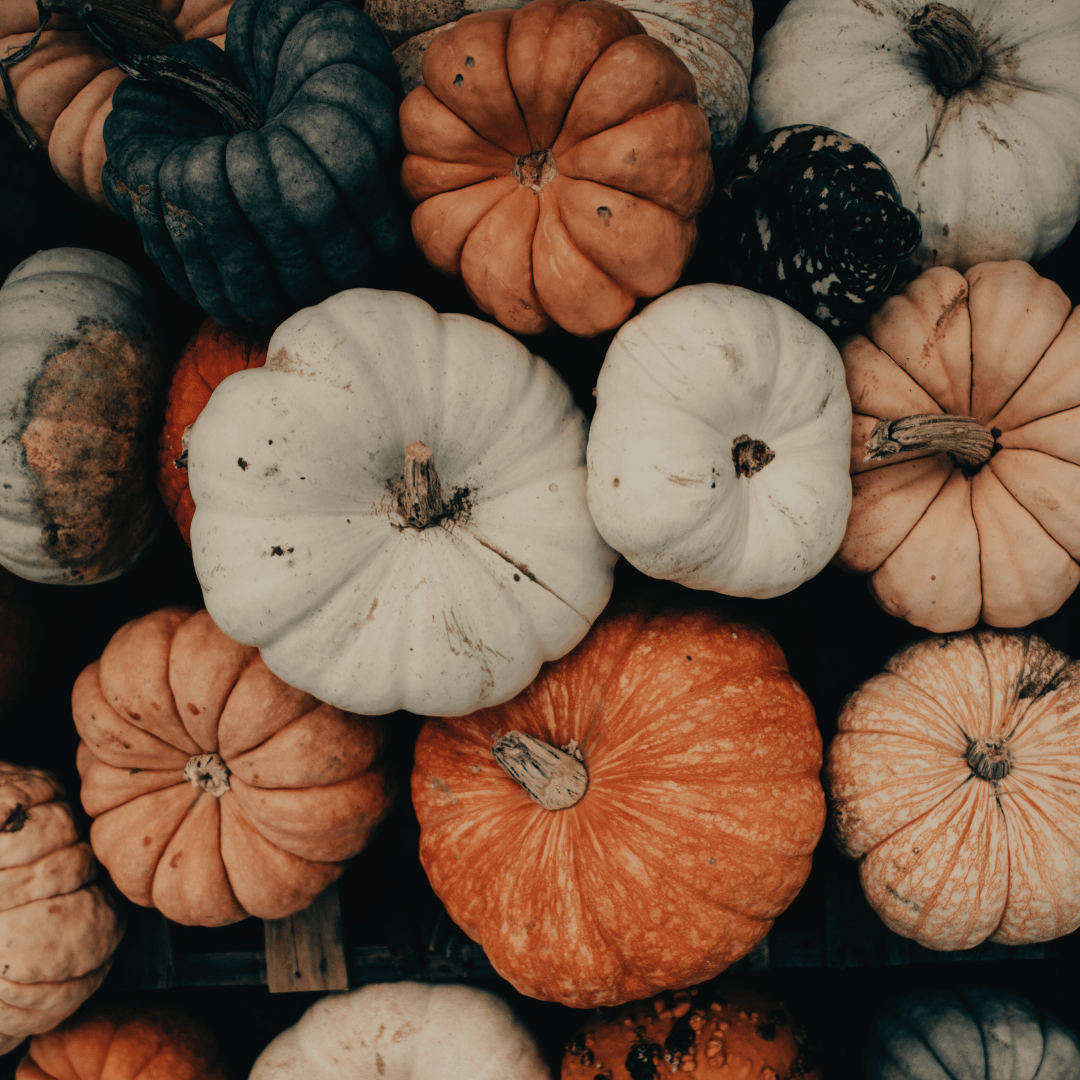 Uhyggeligt lækre Halloween kaffeopskrifter, herunder Pumpkin Spice Latte, Black Magic Cold Brew og Spooky Mocha, lavet med friskristet kaffe fra Copenhagen Coffee Dealers.