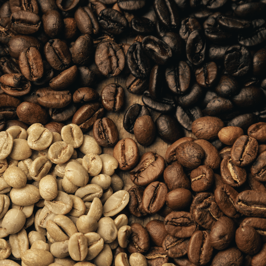 Forskellige kaffer fra Copenhagen Coffee Dealers – friskristede bønner med unikke smagsprofiler, perfekte til espresso, filterkaffe og stempelkaffe.