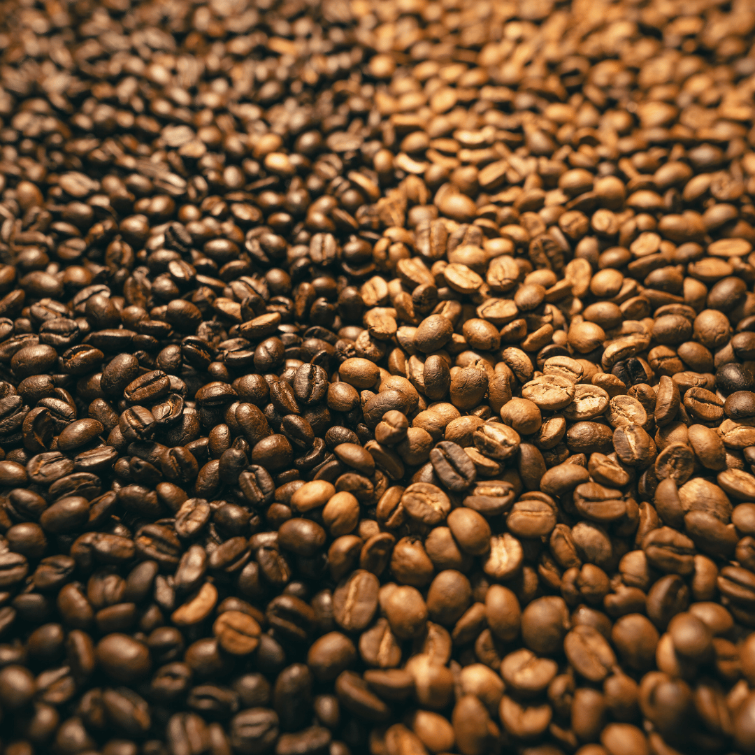 Lysristet kaffebønner fra Tanzania hos Copenhagen Coffee Dealers – friskristede bønner med florale og frugtige noter, ideelle til filterkaffe og pour-over.